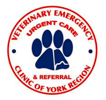 Veterinary emergency urgent care and referral Clinic of York Region