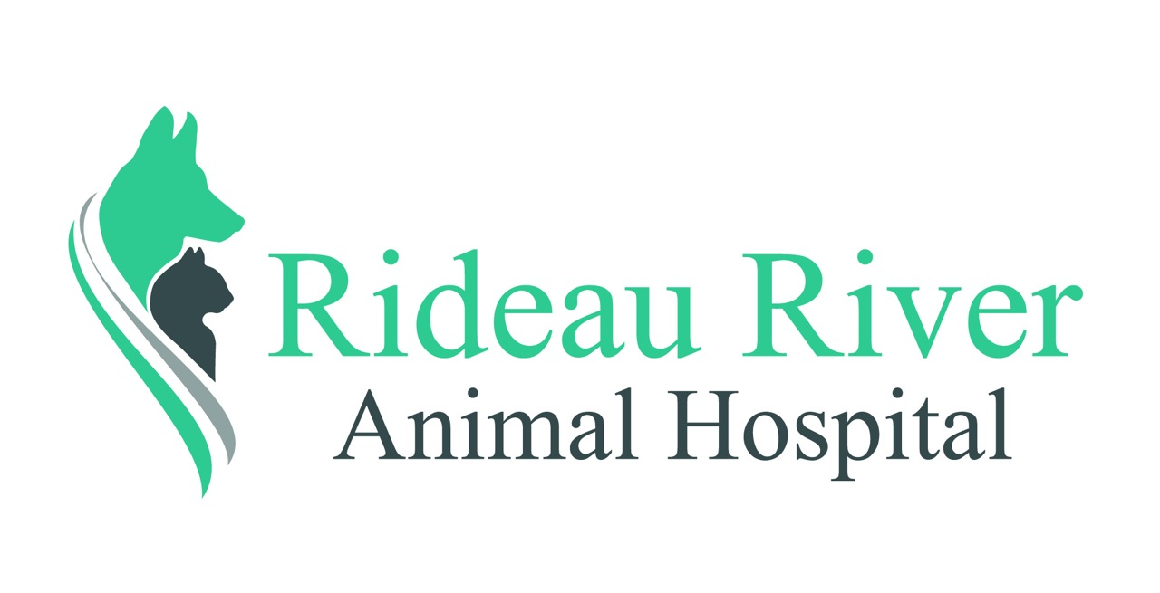 Rideau River Animal Hospital