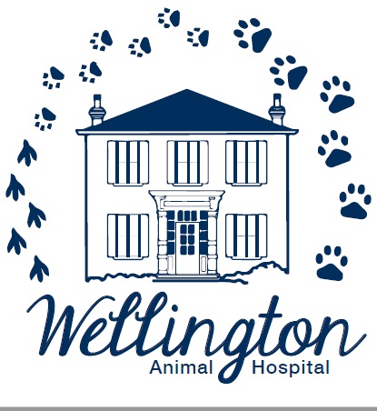 Wellington Animal Hospital