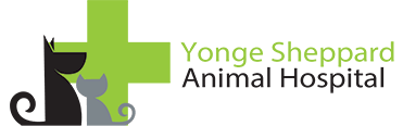 Yonge Sheppard Animal Hospital