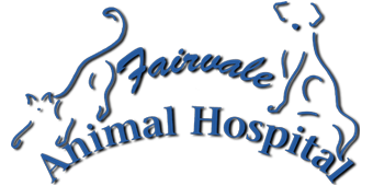 Fairvale Animal Hospital