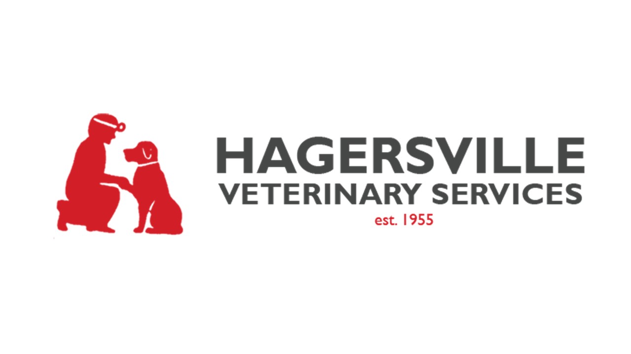 Hagersville Veterinary Services