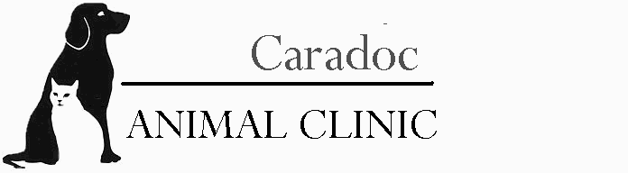 Caradoc Animal Clinic