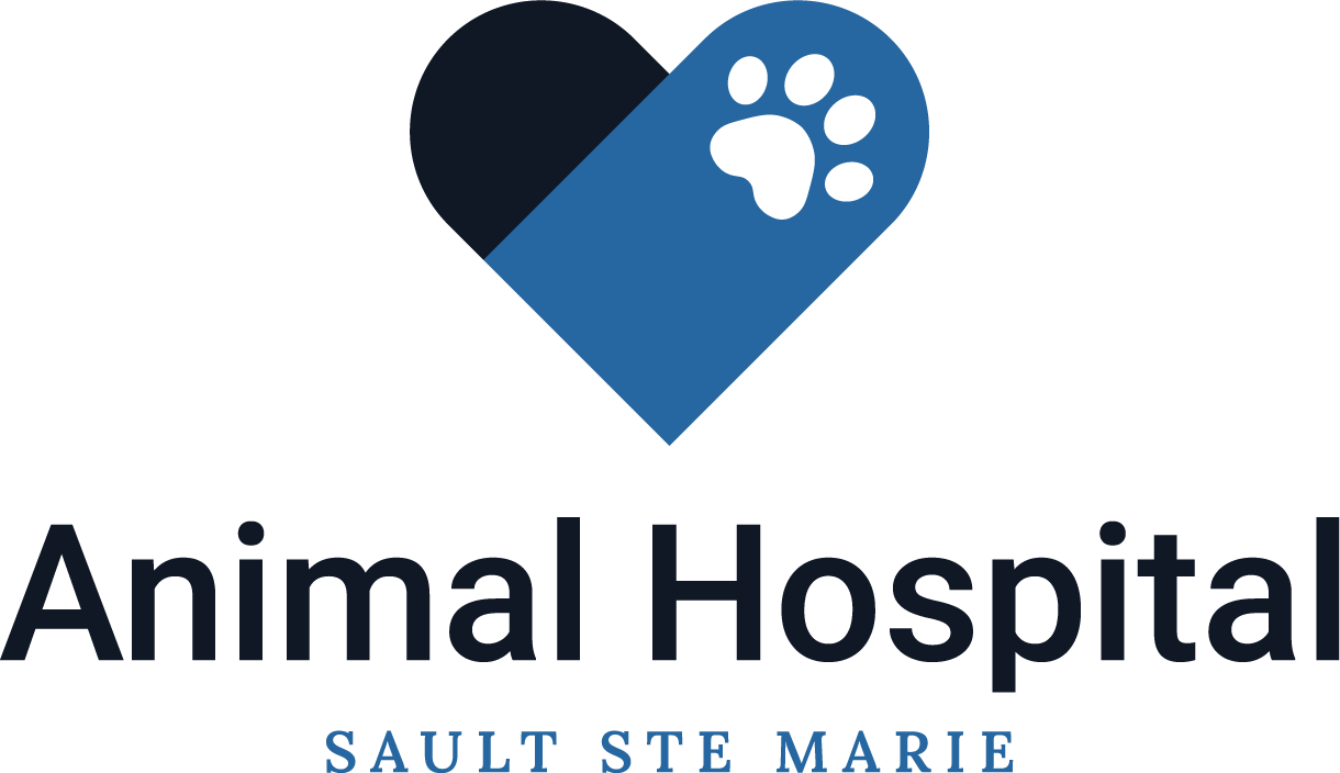 Animal Hospital Sault Ste. Marie