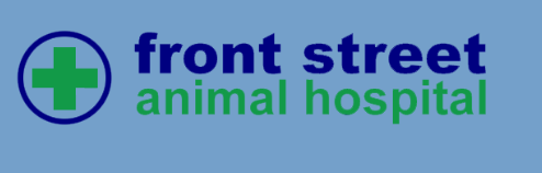 Front Steet Animal Hospital