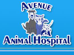 Avenue Animal Hospital