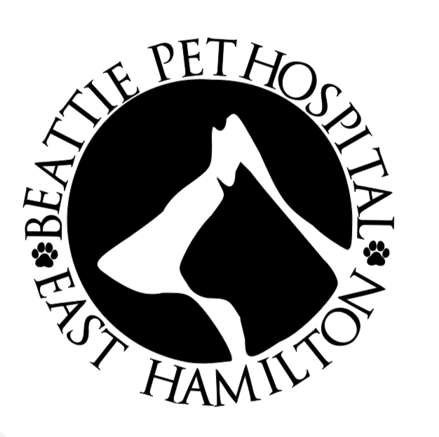 Beattie Pet Hospital East Hamilton