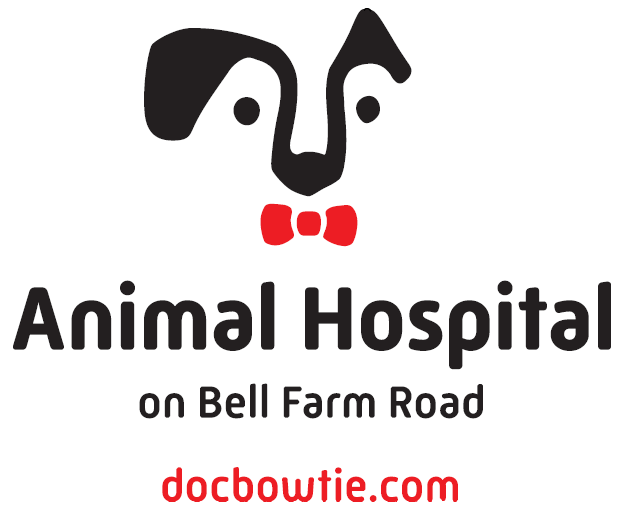 Animal Hospital on Bell Farm Road