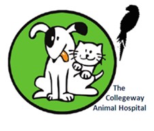 The Collegeway Animal Hospital