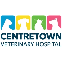 Centretown Animal Hospital