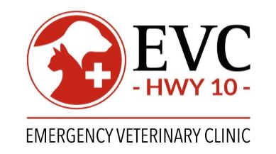 Emergency Veterinary Clinic Highway 10