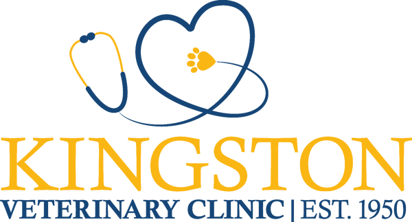 Kingston Veterinary Clinic