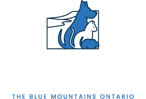 Blue Mountain Veterinary Hospital