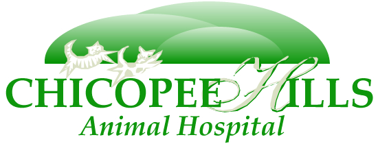 Chicopee Hills Animal Hospital