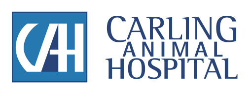 Carling Animal Hospital