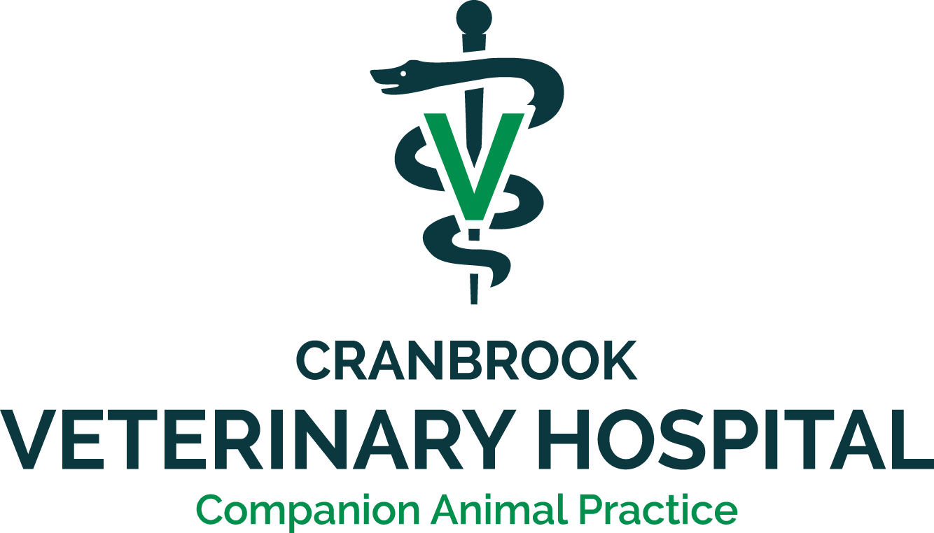 Cranbrook Veterinary Hospital