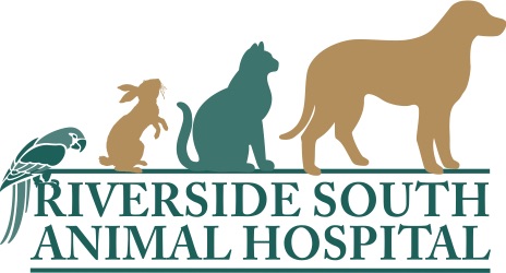 Riverside South Animal Hospital