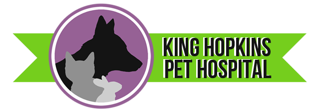 King Hopkins Pet Hospital