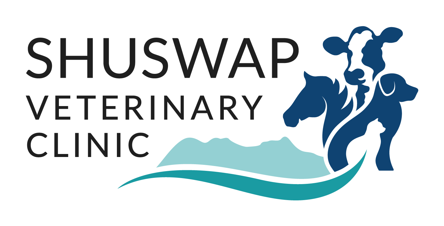 Shuswap Veterinary Clinic