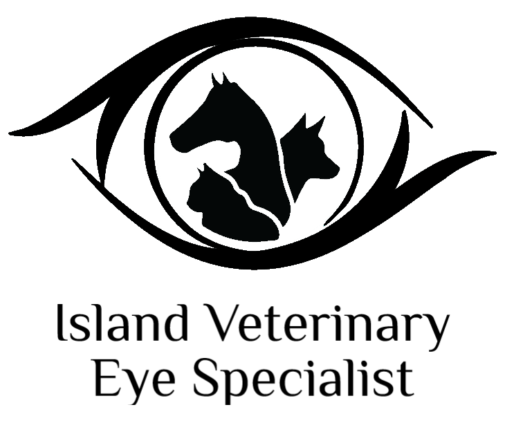 Island Veterinary Eye Specialist