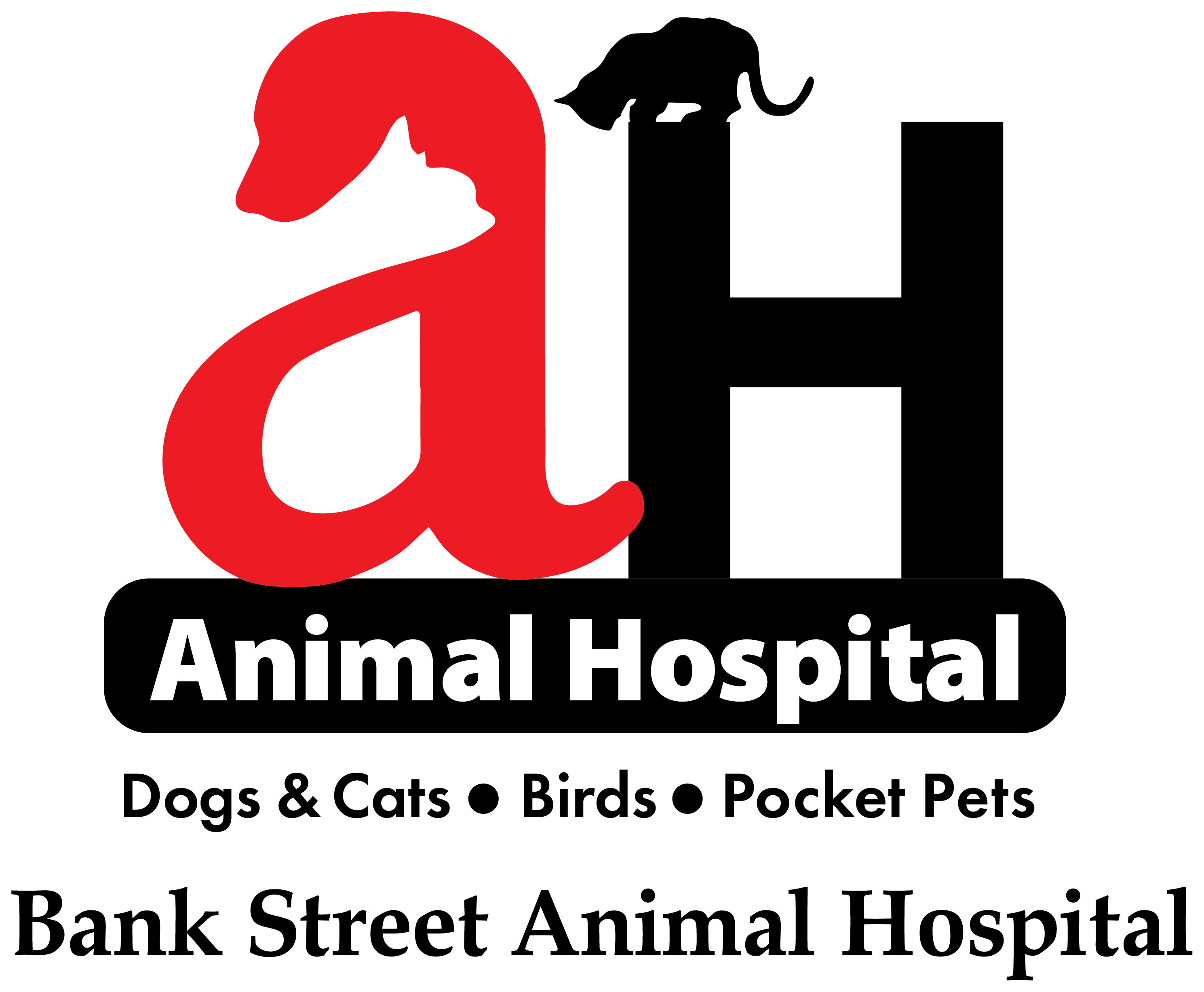 Bank Street Animal Hospital 