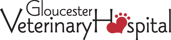 Gloucester Veterinary Hospital