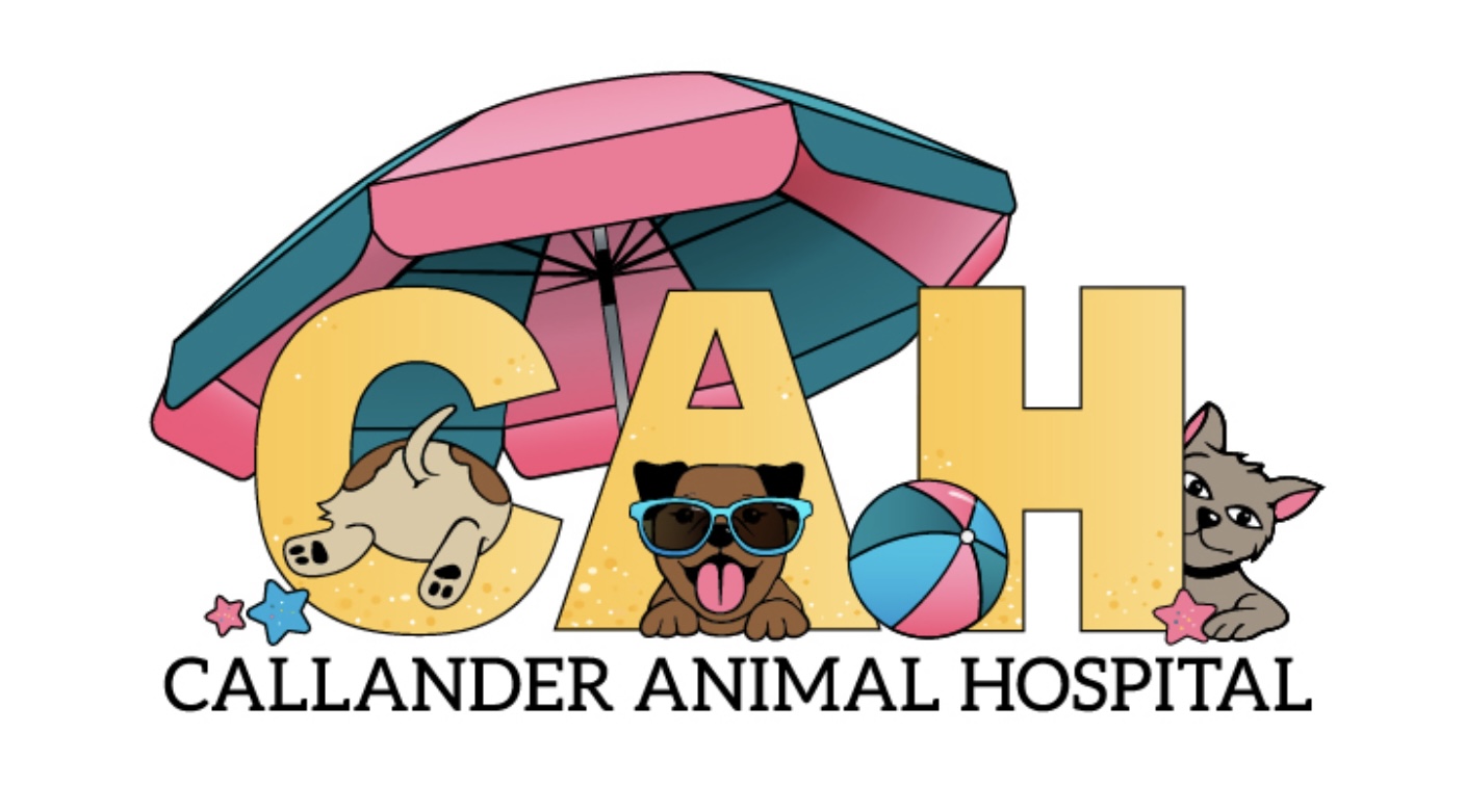 Callander Animal Hospital