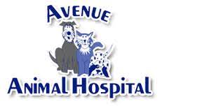 Avenue Animal Hospital