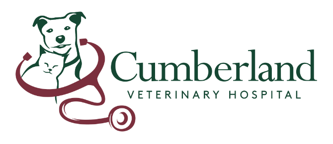 Cumberland Veterinary Hospital