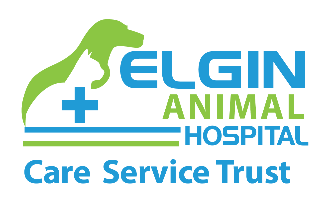 Elgin Animal Hospital
