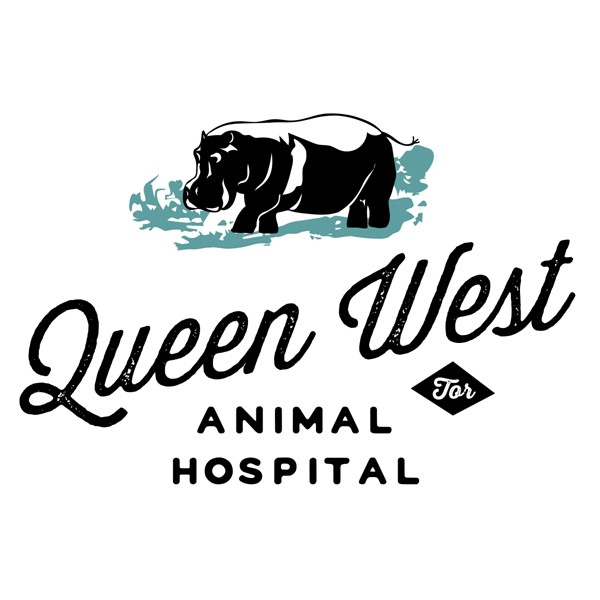 Queen West Aimal Hospital