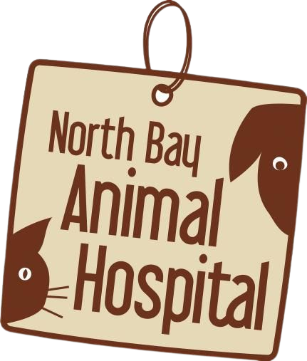 North Bay Animal Hospital