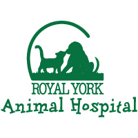 Royal York Animal Hospital