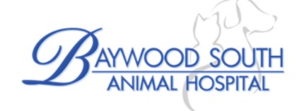 Baywood South Animal Hospital