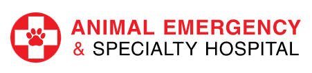 Ottawa Animal Emergency & Specialty Hospital