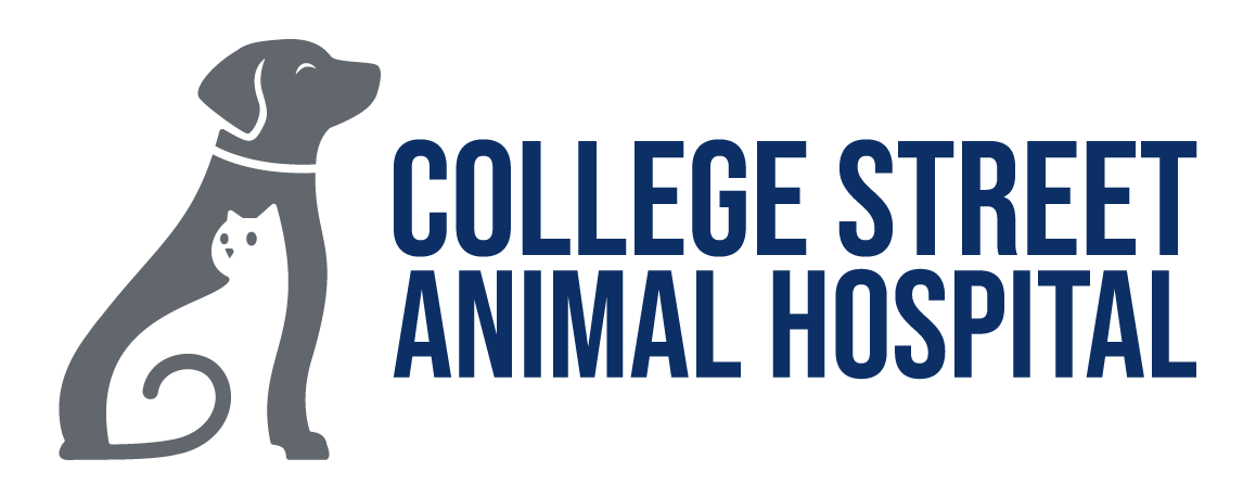 College Street Animal Hospital