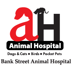 Bank Street Animal Hospital