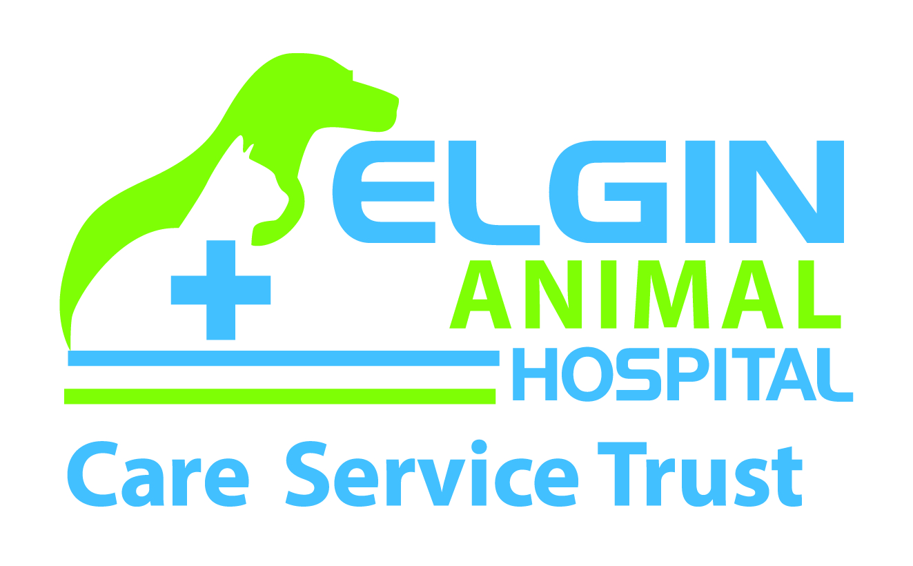 Elgin Animal Hospital