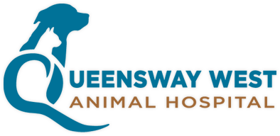 Queensway West Animal Hospital