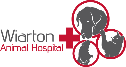 Wiarton Animal Hospital