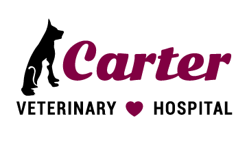 Carter Veterinary Hospital