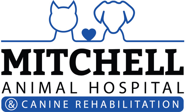 Mitchell Animal Hospital