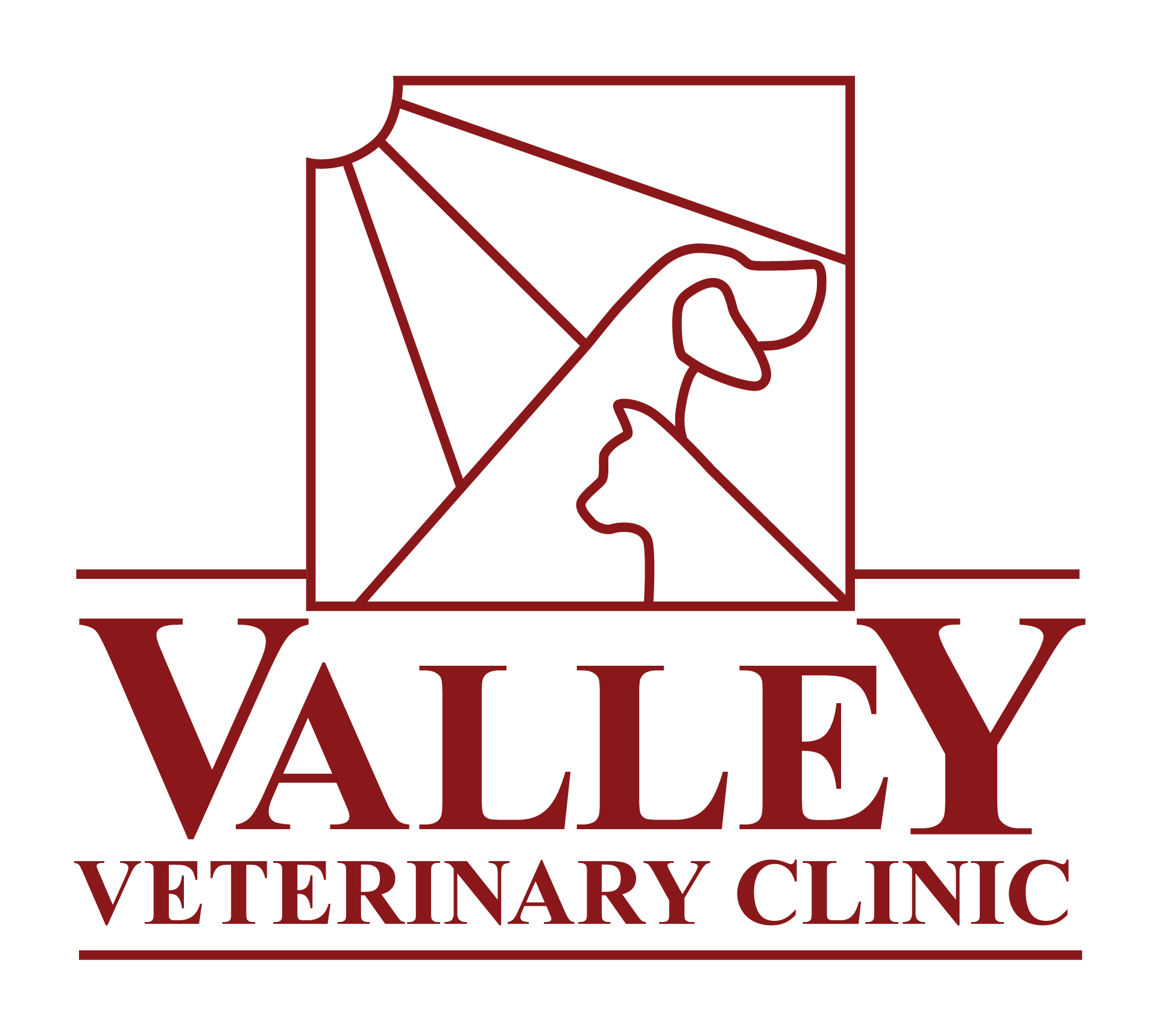 Valley Veterinary Clinic