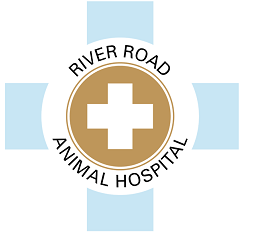 River Road Animal Hospital