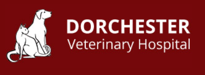 Dorchester Veterinary Hospital c/o Tavistock Veterinarians Professional Corp