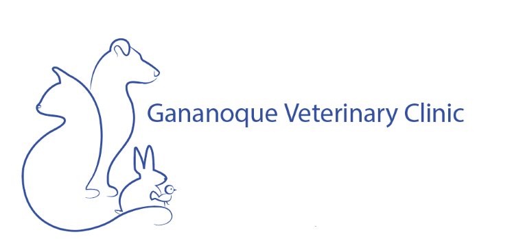 Gananoque Veterinary Clinic