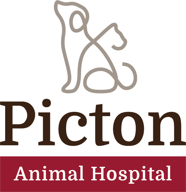 Picton Animal Hospital