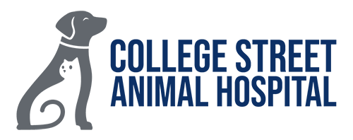 College Street Animal Hospital