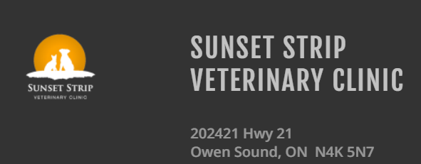 Sunset Strip Veterinary Clinic