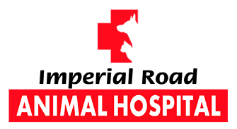 Imperial Road Animal Hospital